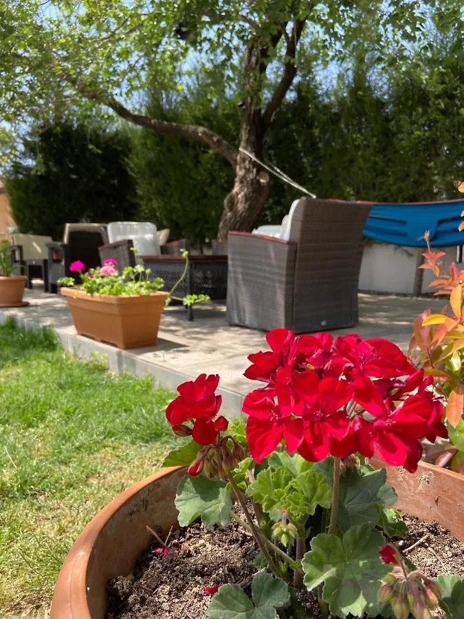 Aparthotel Safak Apart & Hotel Dalyan